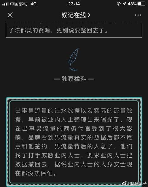 娱乐爆料八卦分析,明星背后的惊人真相与幕后故事  第3张