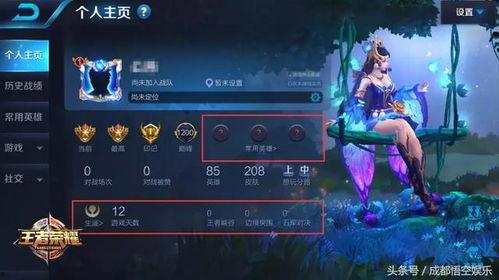 王者芳薇爆料视频,揭秘游戏幕后精彩瞬间  第3张